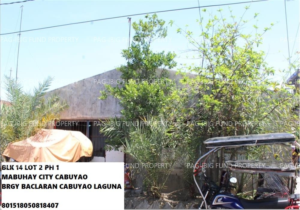 Image for Lot 02 Blk. 14 Phase 1 Mabuhay City-Cabuyao Baclaran, Cabuyao, Laguna, 4025