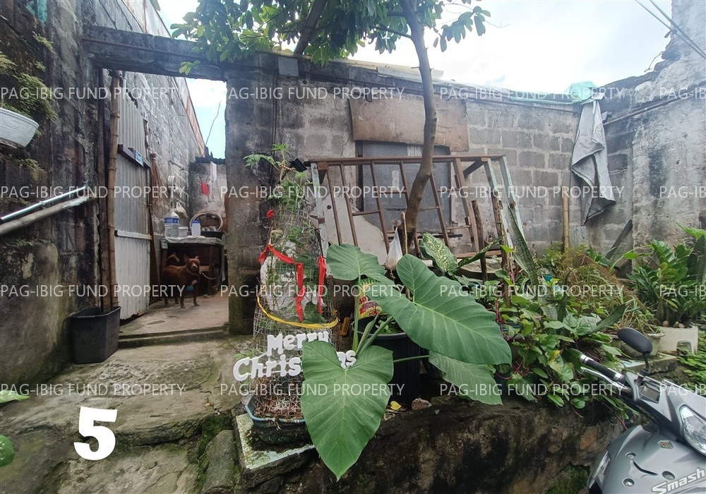 Image for Lot 21 Blk. 66 Phase 2A Mabuhay Homes 2000-Darangan Kalawaan, Binangonan, Rizal, 1940