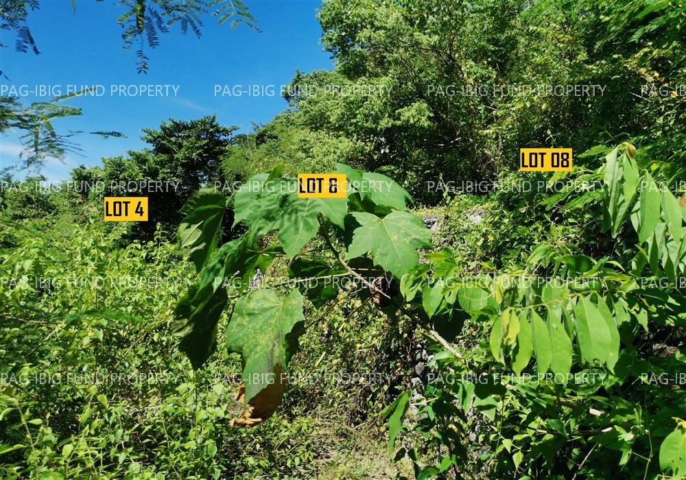 Image for Lot 04 Blk. 10 Phase III Northcrest Bgy. No. 54-a, Lagui-Sail, Laoag City, Ilocos Norte, 2900