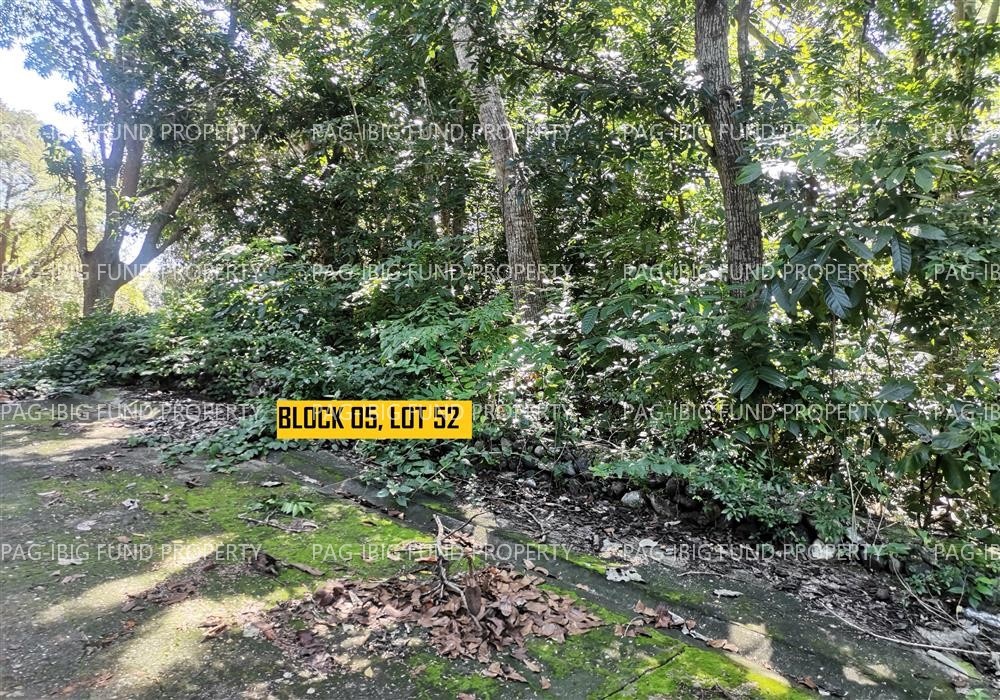 Image for Lot 52 Blk. 05 Phase III Northcrest Bgy. No. 54-a, Lagui-Sail, Laoag City, Ilocos Norte, 2900