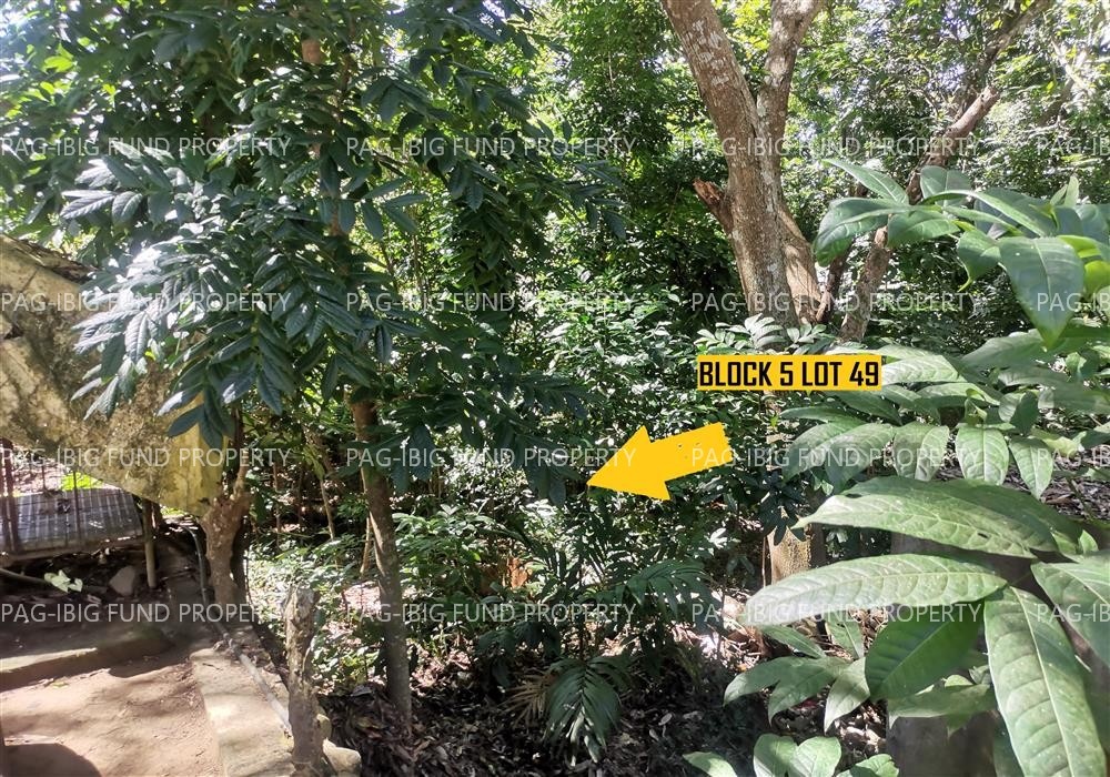 Image for Lot 49 Blk. 05 Phase III Northcrest Bgy. No. 54-a, Lagui-Sail, Laoag City, Ilocos Norte, 2900