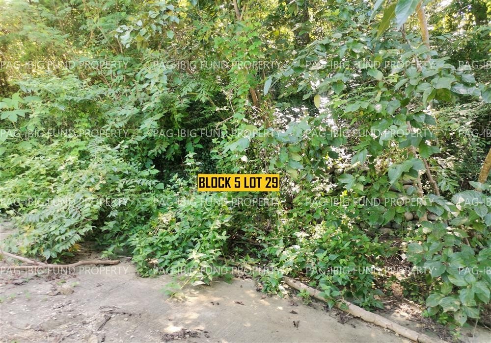 Image for Lot 29 Blk. 05 Phase III Northcrest Bgy. No. 54-a, Lagui-Sail, Laoag City, Ilocos Norte, 2900