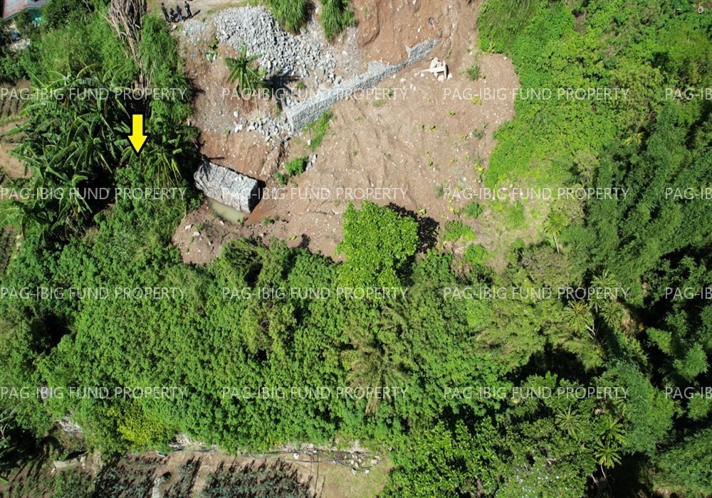 Image for Lot 21 Blk. 01 Alno Sunflower Alno, La Trinidad (Capital), Benguet, 2601