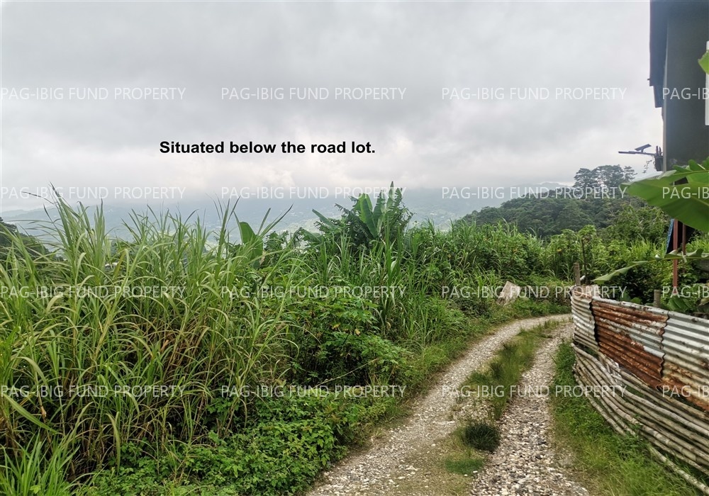 Image for Lot 24 Blk. 01 Alno Sunflower Alno, La Trinidad (Capital), Benguet, 2601