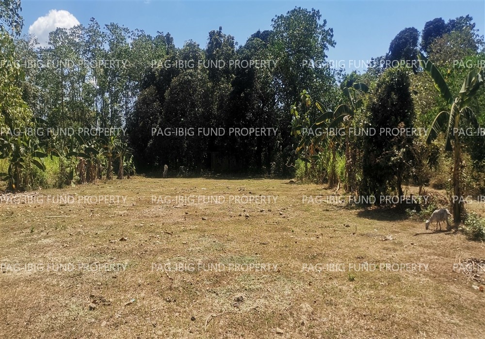 Image for Non-Subdivision San Pedro East, Rosales, Pangasinan, 2441