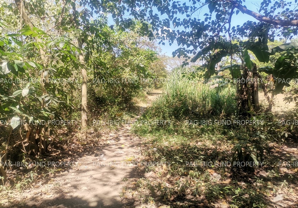 Image for Lot 2420-a Non-Subdivision San Pedro East, Rosales, Pangasinan, 2441