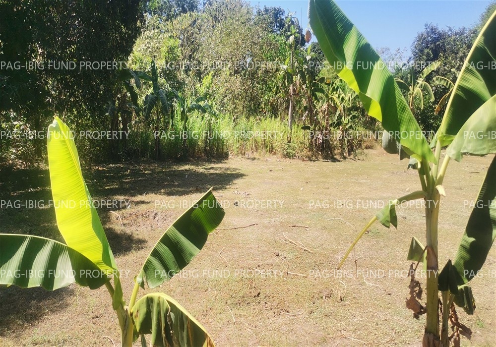 Image for Non-Subdivision San Pedro East, Rosales, Pangasinan, 2441