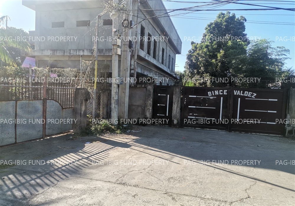 Image for Lot L2048-C-1 Non-Subdivision San Pedro East, Rosales, Pangasinan, 2441