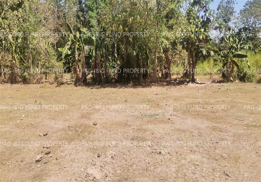 Image for Non-Subdivision San Pedro East, Rosales, Pangasinan, 2441