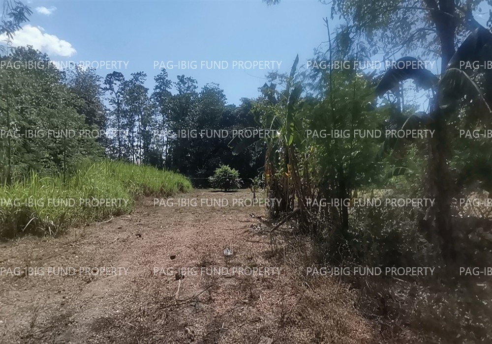 Image for Lot 2048-C-2 Non-Subdivision San Pedro East, Rosales, Pangasinan, 2441
