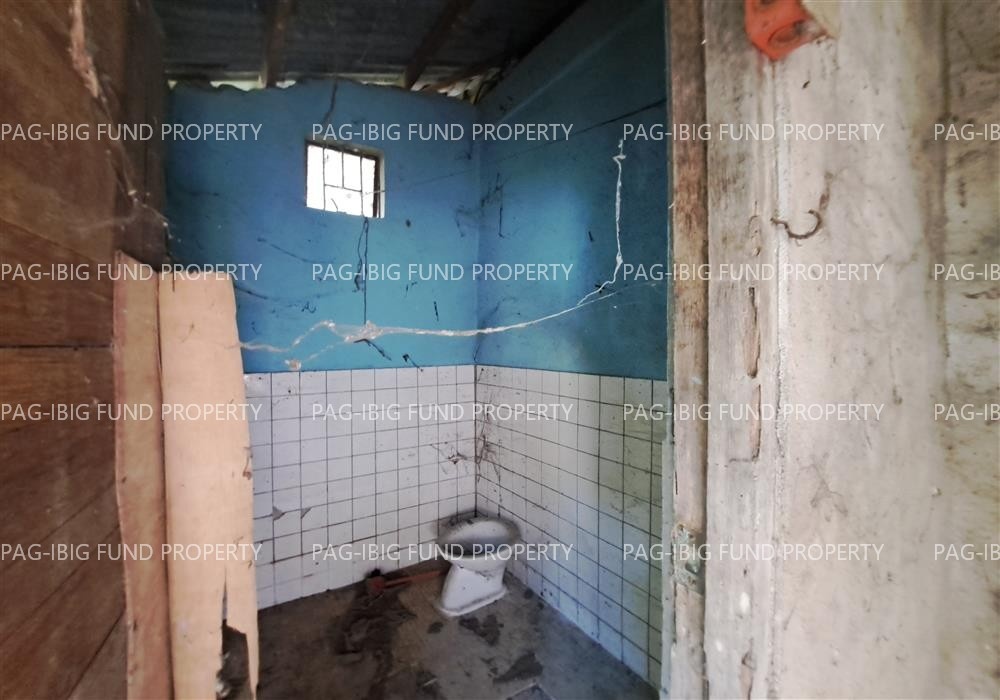 Image for Lot 09 Non-Subdivision Nalsian Norte, Bayambang, Pangasinan, 2423