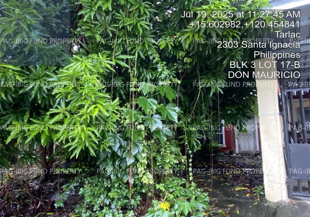 Image for Lot 17-B Blk. 3 Don Mauricio Subdivision Nambalan, Santa Ignacia, Tarlac, 2303