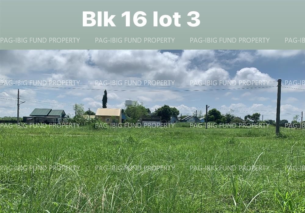 Image for Lot 3 Blk. 16 Eaglenest Village Parsolingan, Gerona, Tarlac, 2302