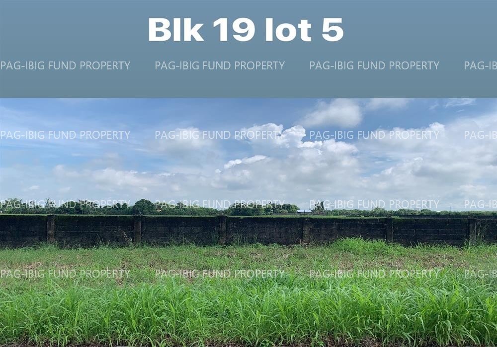 Image for Lot 5 Blk. 18 Eaglenest Village Parsolingan, Gerona, Tarlac, 2302