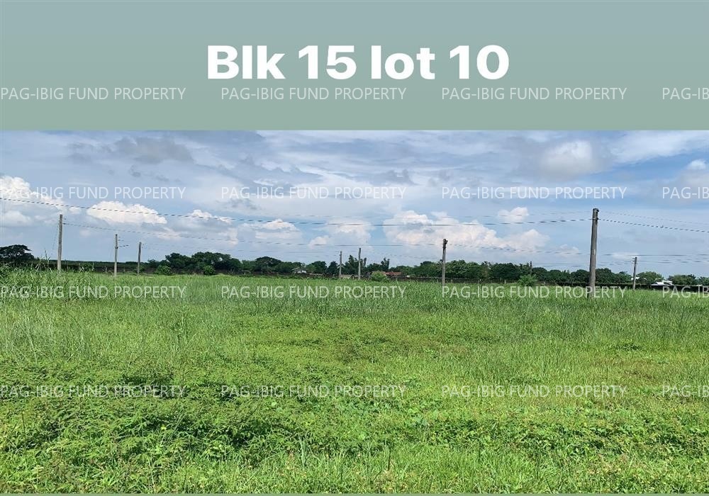 Image for Lot 10 Blk. 15 Eaglenest Village Parsolingan, Gerona, Tarlac, 2302