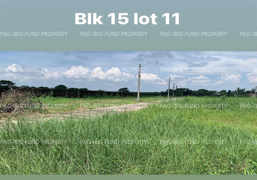 Image for Lot 11 Blk. 15 Eaglenest Village Parsolingan, Gerona, Tarlac, 2302