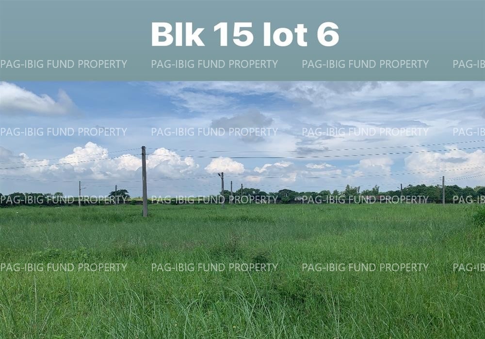 Image for Lot 6 Blk. 15 Eaglenest Village Parsolingan, Gerona, Tarlac, 2302