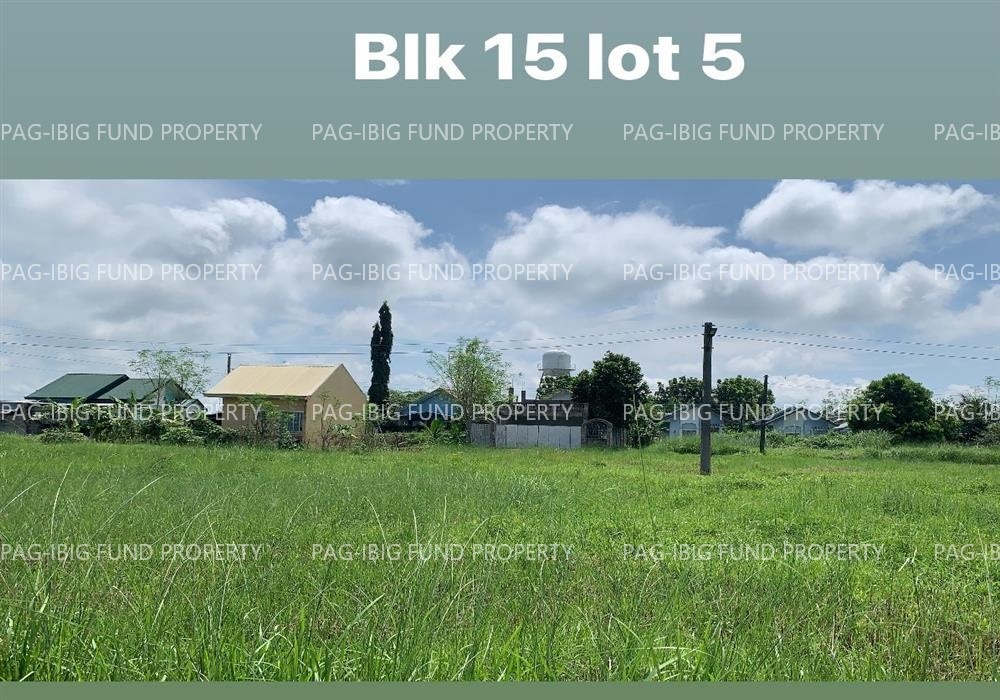 Image for Lot 5 Blk. 15 Eaglenest Village Parsolingan, Gerona, Tarlac, 2302