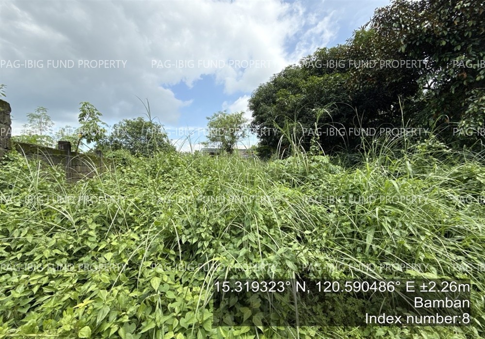 Image for Lot 13 Blk. 21 Villa San Jose Subdivision Cutcut 1st, Capas, Tarlac, 2315