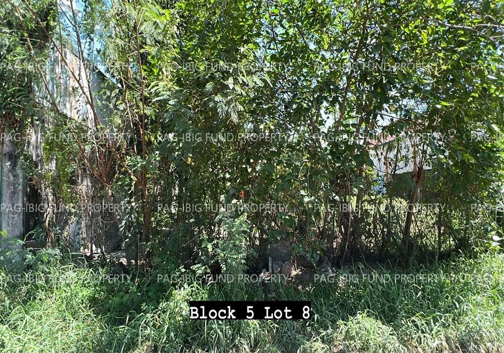 Image for Lot 8 Blk. 5 St. Anthony Subdivision Santo Rosario (pob.), City of San Fernando (capital), Pampanga, 2000