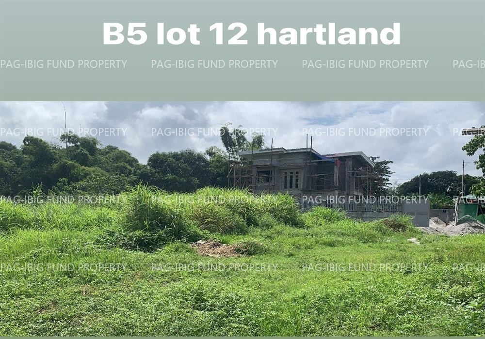 Image for Lot 12 Blk. 5 Hartland Homes Tibag, Tarlac City, Tarlac, 2300