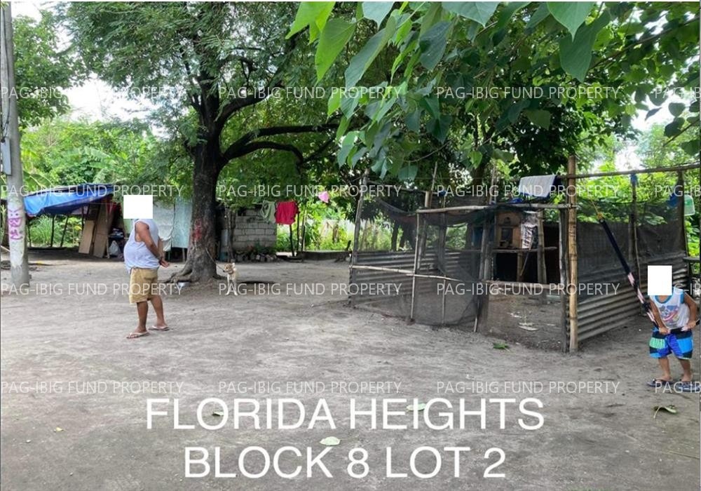 Image for Lot 2 Blk. 8 Florida Heights Subd. San Jose, Floridablanca, Pampanga, 2006