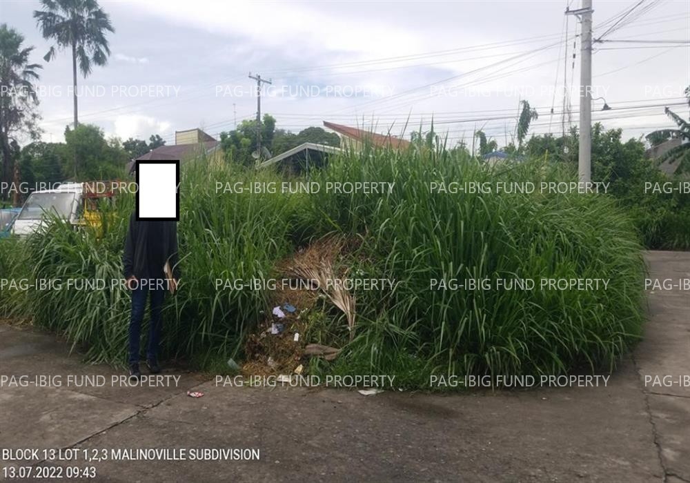 Image for Lot 2 Blk. 13 Phase 1 Malinoville Subdivision Malino, City of San Fernando (capital), Pampanga, 2000