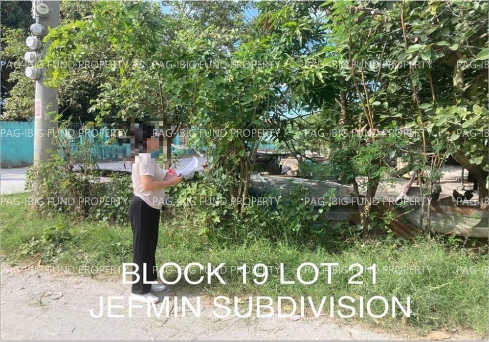 Image for Lot 21 Blk. 19 Jefmin Subdivision Santo Niño, Concepcion, Tarlac, 2316