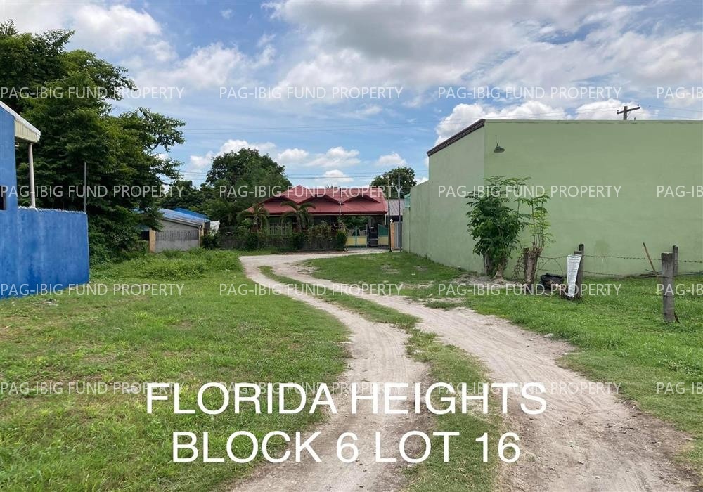 Image for Unit 7 Lot 16 Blk. 6 Florida Heights Subd. San Jose, Floridablanca, Pampanga, 2006