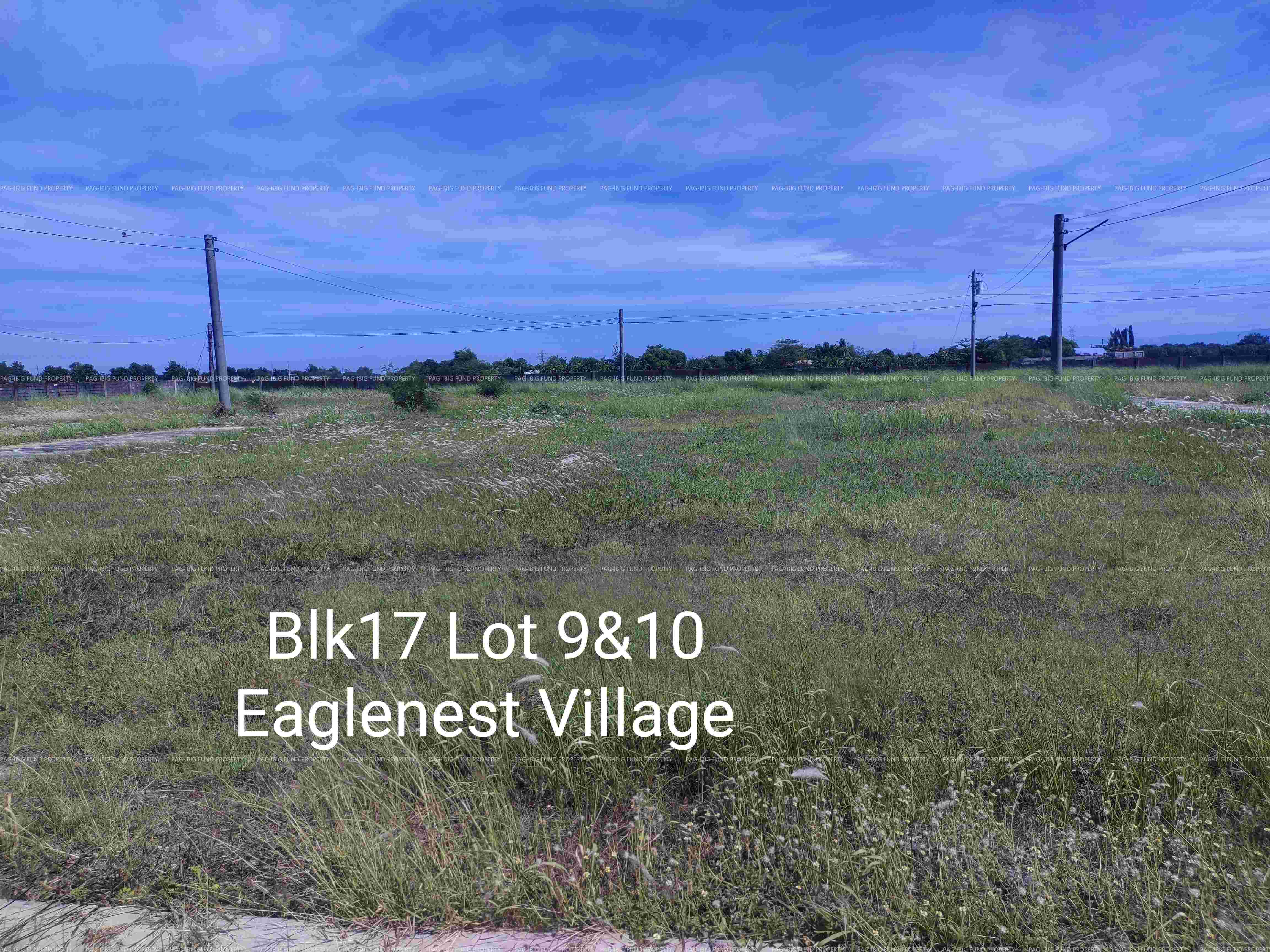 Image for Lot 9 Blk. 17 Eaglenest Village Parsolingan, Gerona, Tarlac, 2302