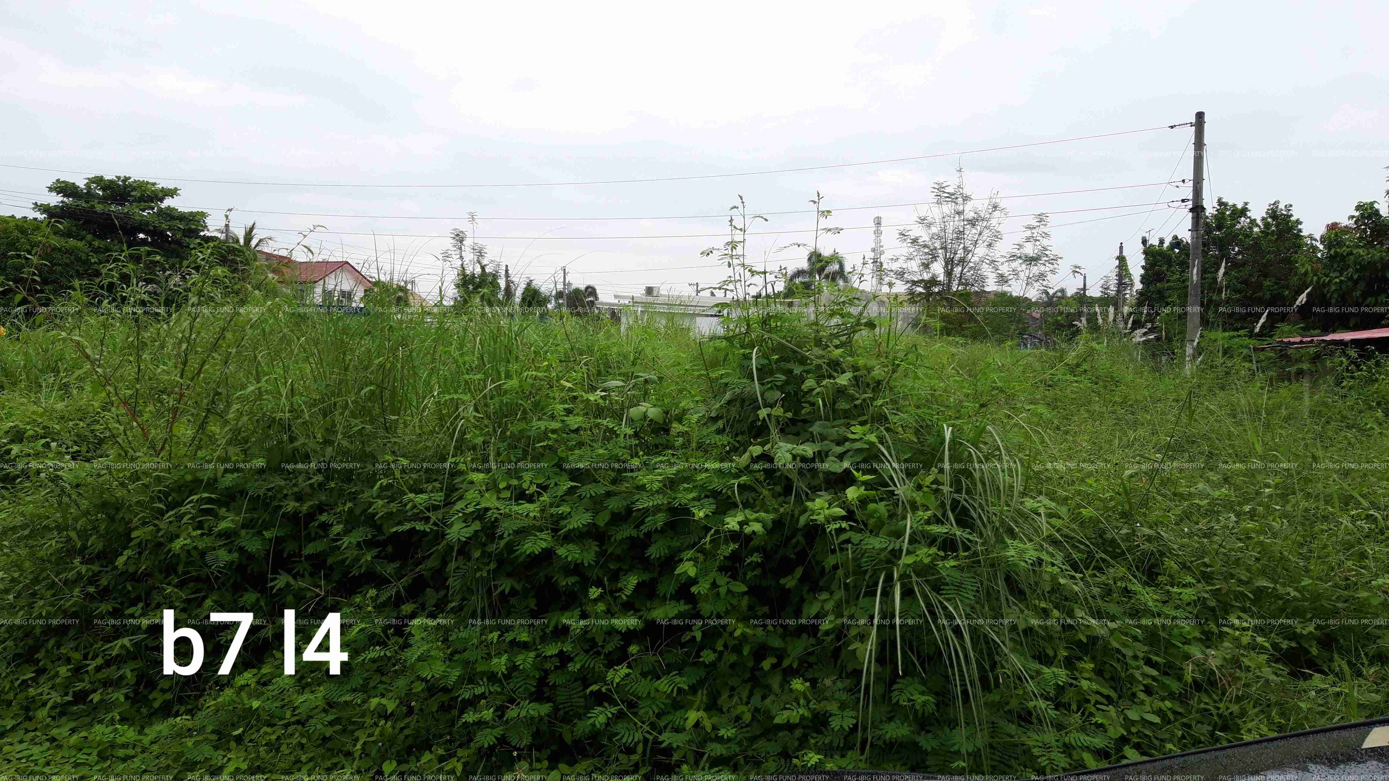 Image for Lot 4 Blk. 7 Villa Generosa Subdivision Estrada (Calingcuan), Capas, Tarlac, 2315