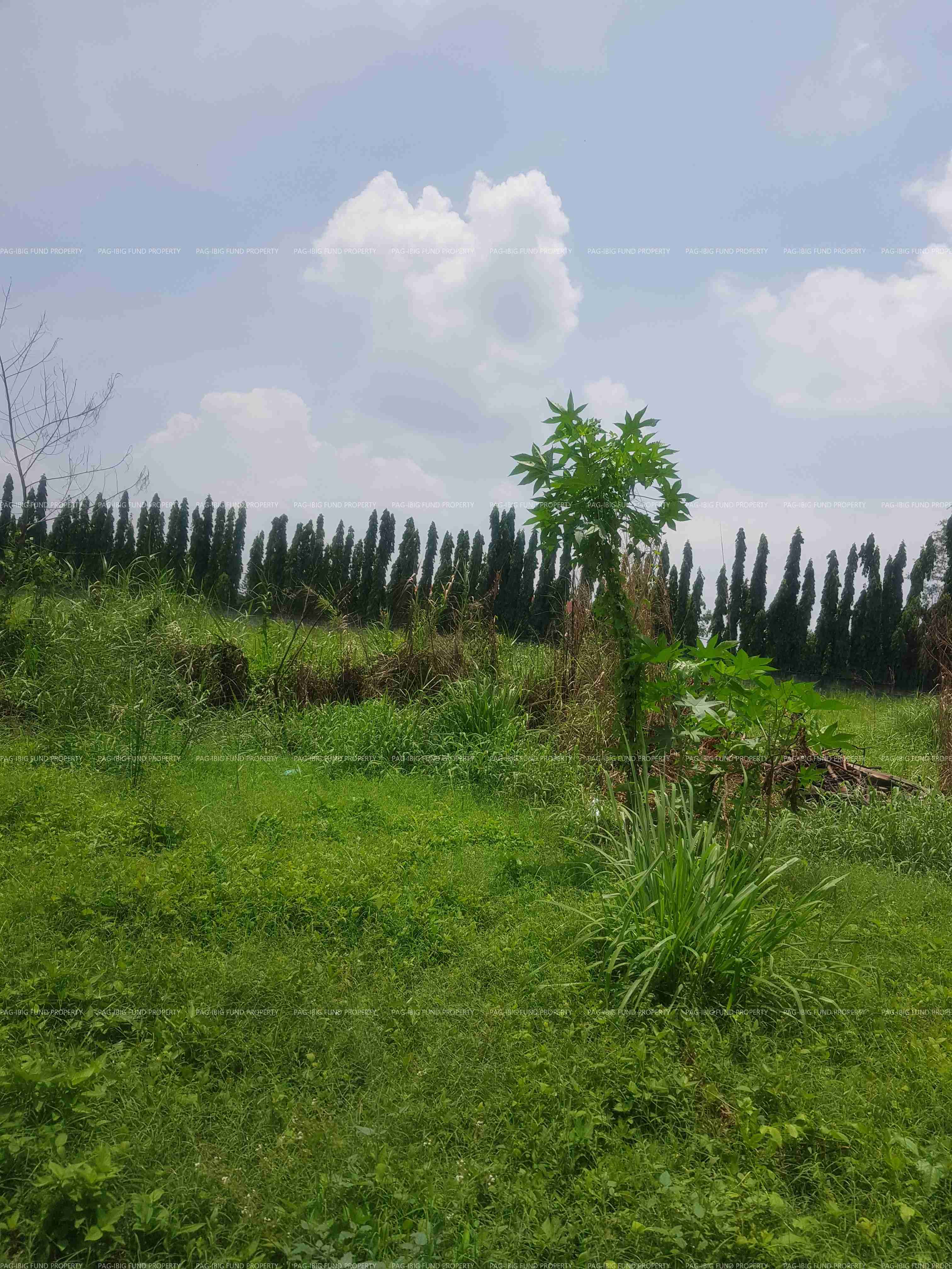 Image for Lot 4 Blk. 11 Amber Trail Santo Rosario, Mexico, Pampanga, 2021