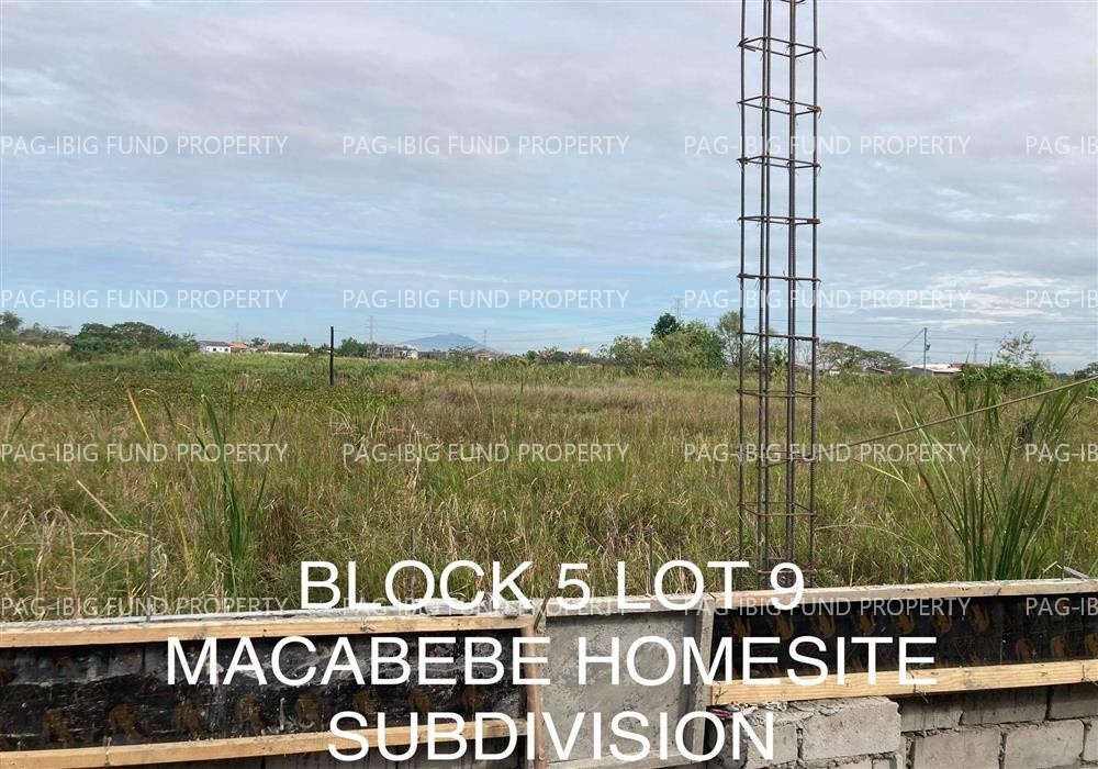 Image for Lot 9 Blk. 5 Macabebe Homesite Subdivision Caduang Tete, Macabebe, Pampanga, 2018