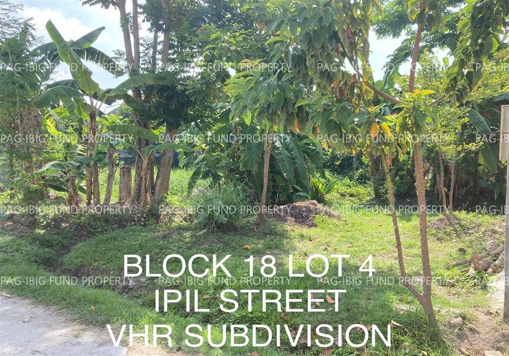 Image for Lot 4 Blk. 18 Vhr Subdivision San Agustin, City of San Fernando (capital), Pampanga, 2000