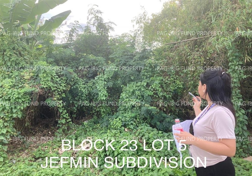 Image for Lot 5 Blk. 23 Jefmin Subdivision Santo Niño, Concepcion, Tarlac, 2316