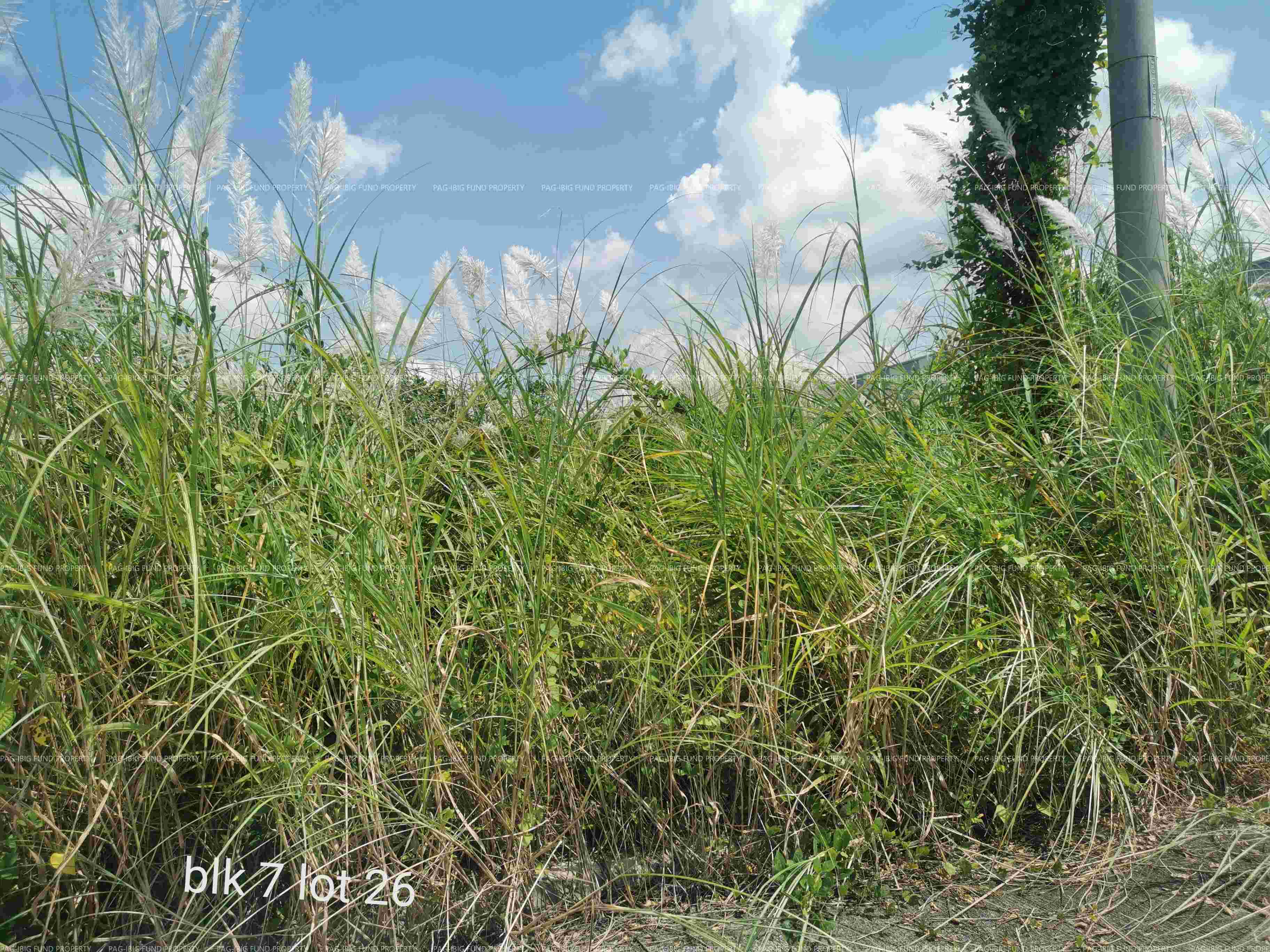 Image for Lot 26 Blk. 7 Villa Generosa Subdivision Estrada (Calingcuan), Capas, Tarlac, 2315