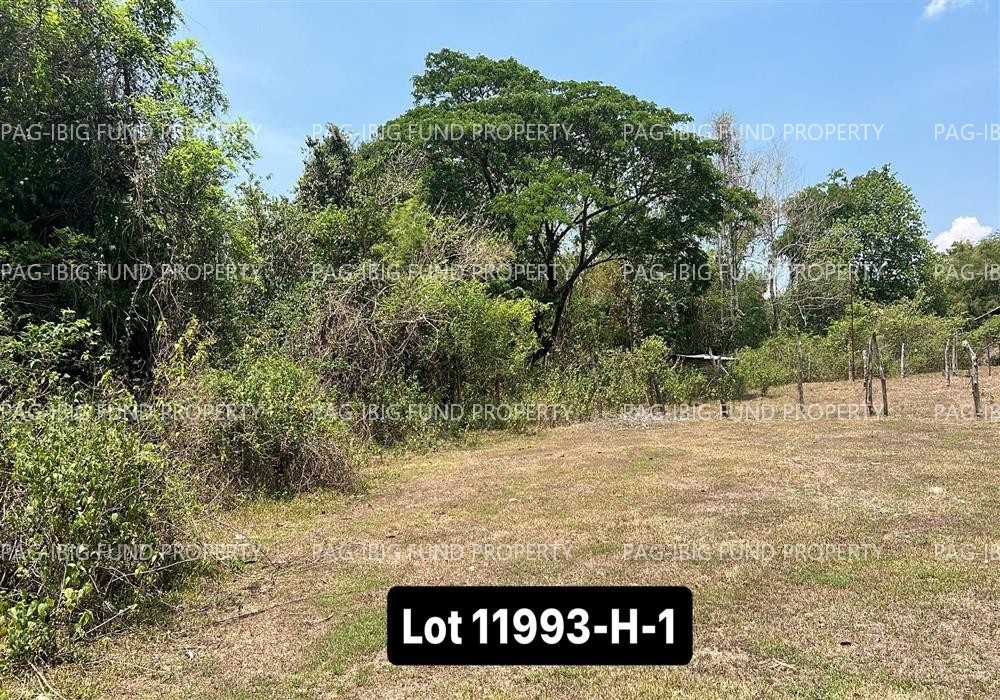Image for Lot 11993-H-1 Non-Subdivision Santa Maria, Camiling, Tarlac, 2306