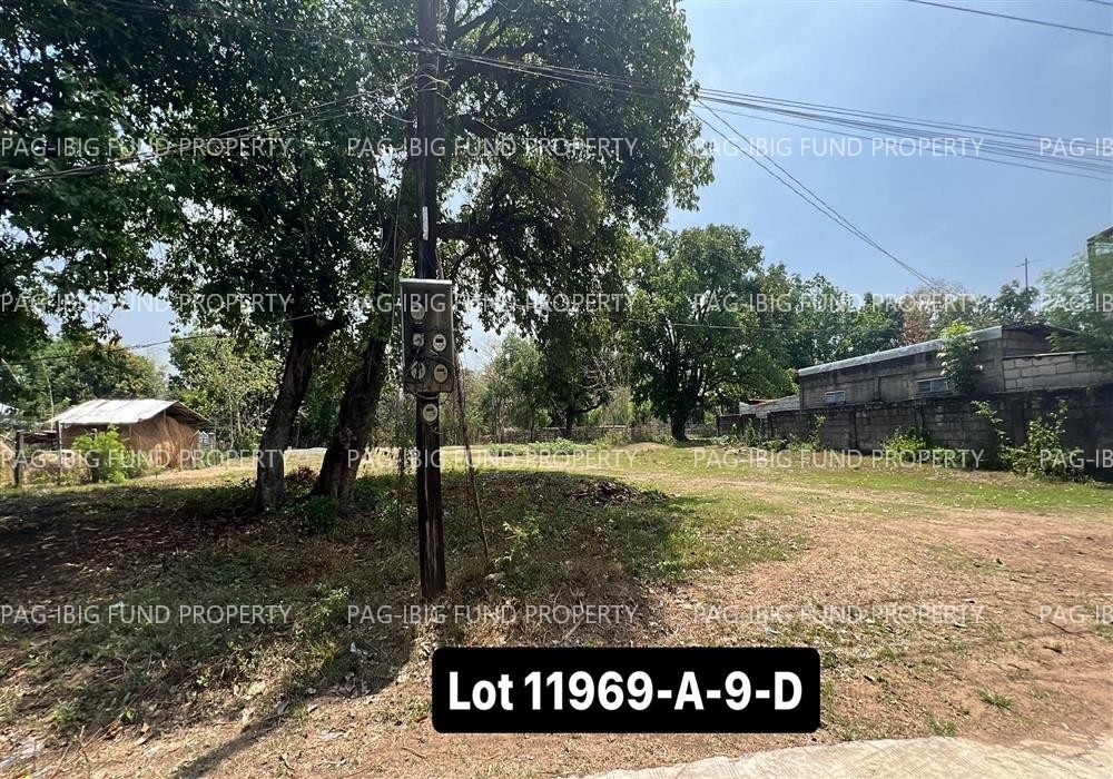 Image for Lot 11969-a-9-D Non-Subdivision Santa Maria, Camiling, Tarlac, 2306