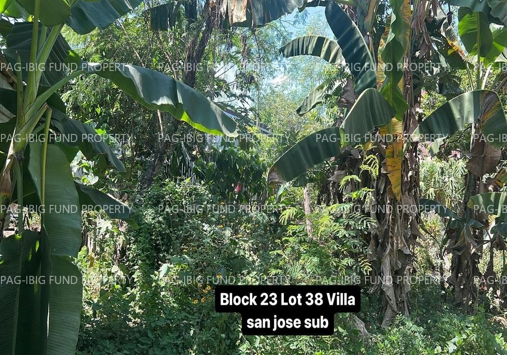 Image for Lot 38 Blk. 23 Villa San Jose Subdivision Cutcut 1st, Capas, Tarlac, 2315