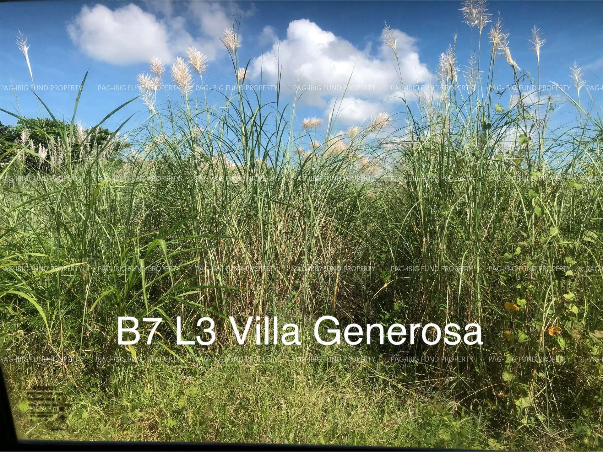 Image for Lot 3 Blk. 7 Villa Generosa Subdivision Estrada (Calingcuan), Capas, Tarlac, 2315