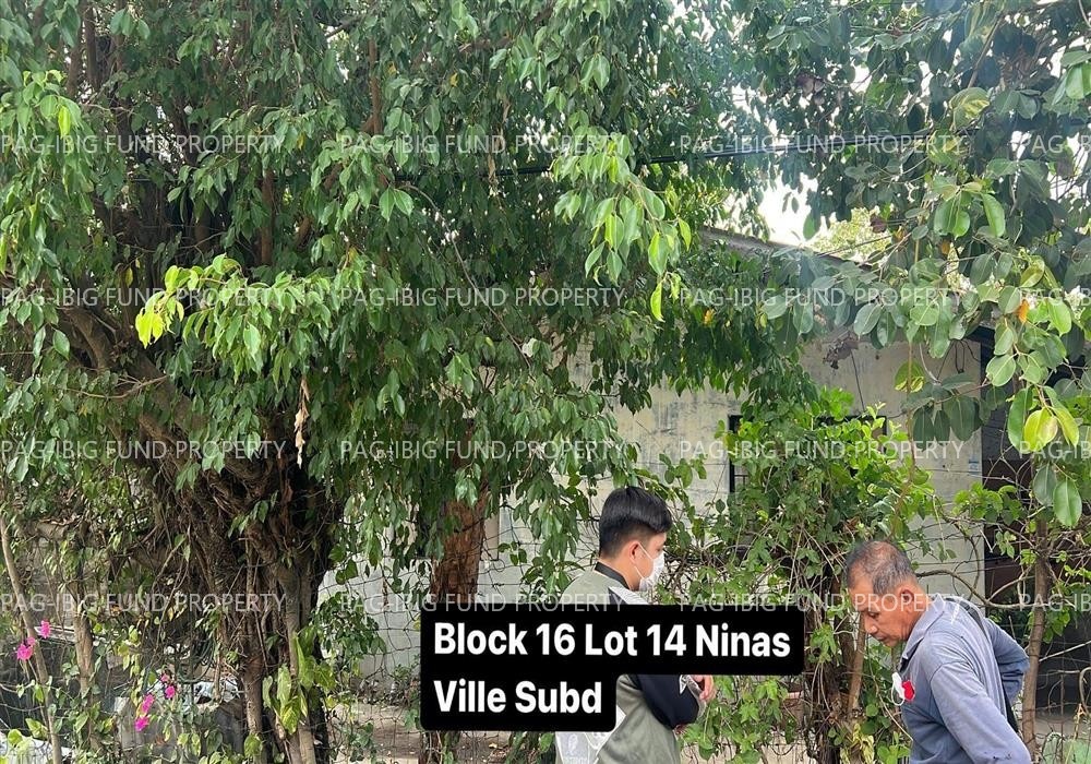 Image for Lot 14 Blk. 16 Nina's Ville Subdivision Suizo, Tarlac City, Tarlac, 2300
