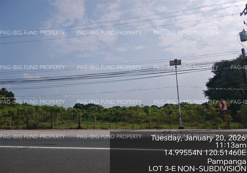 Image for Lot 3-E Paguiruan, Floridablanca, Pampanga,