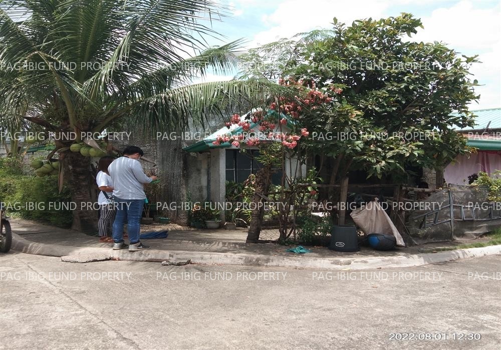 Image for Lot 2 Blk. 1 Agl Heights Subdivision Kalikid Sur, Cabanatuan City, Nueva Ecija, 3111