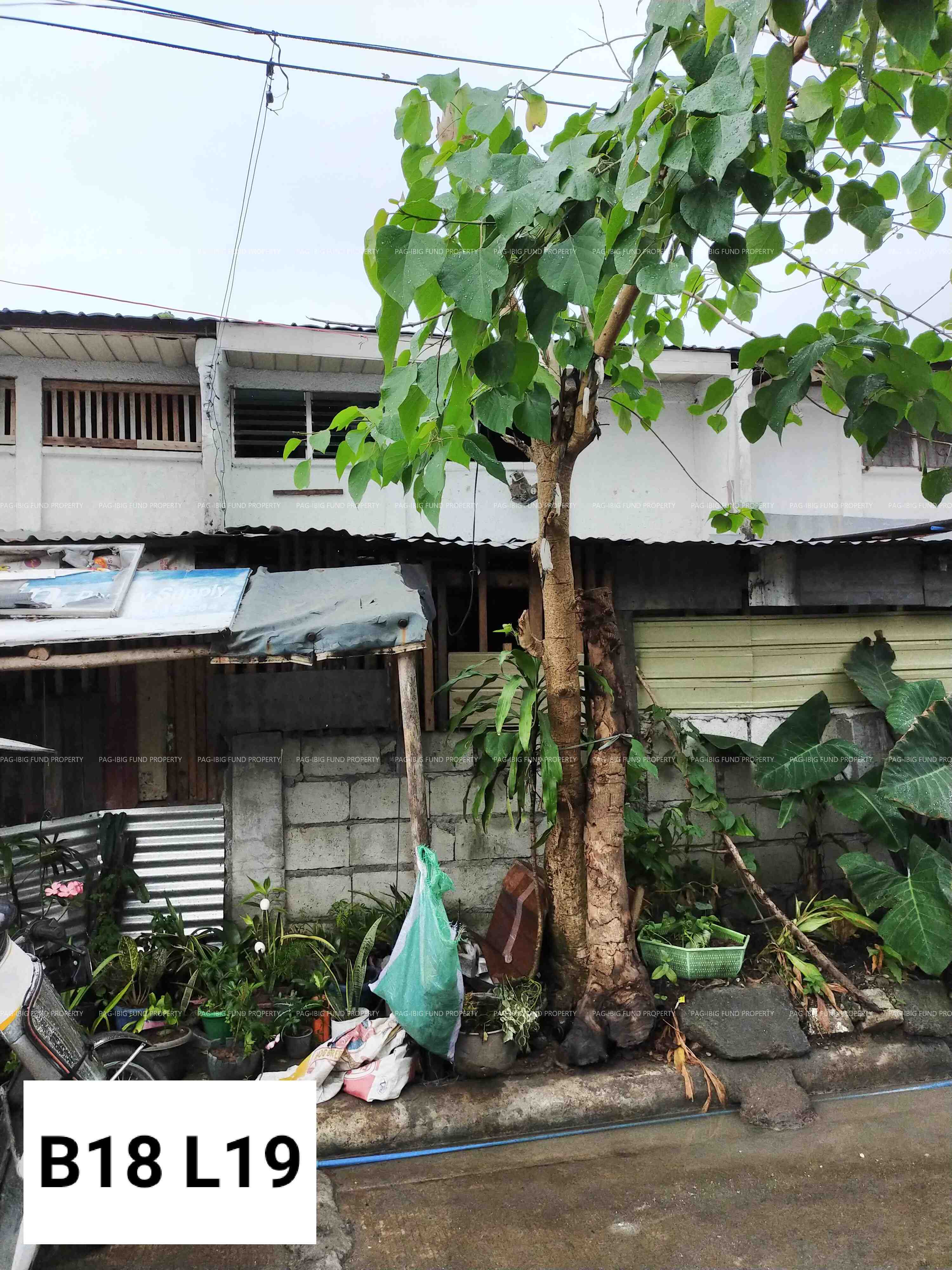 Image for Lot 19 Blk. 18 Imperial Central Plains Bakod Bayan, Cabanatuan City, Nueva Ecija, 3100