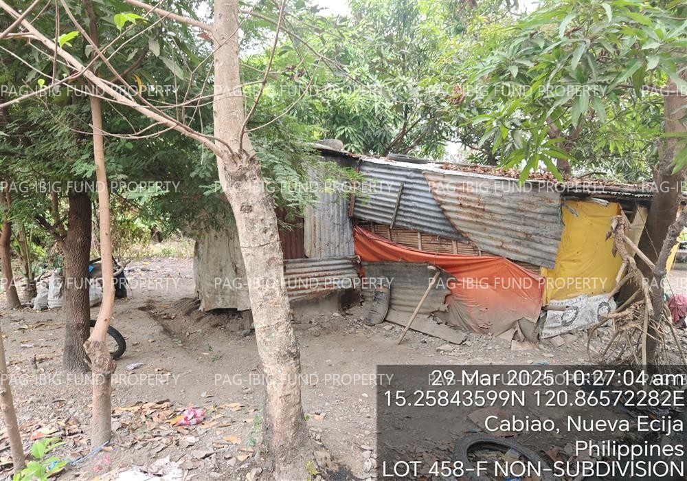 Image for Lot 458-F Non-Subdivision San Fernando Sur, Cabiao, Nueva Ecija, 3107
