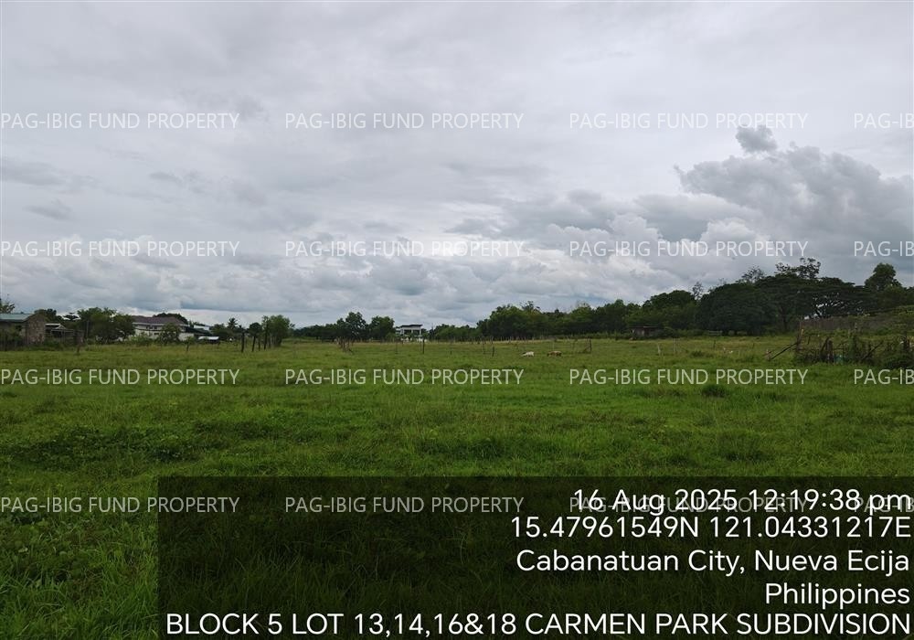 Image for Lot 16 & 18 Blk. 05 Carmen Park Subdivision Kalikid Sur, Cabanatuan City, Nueva Ecija, 3100