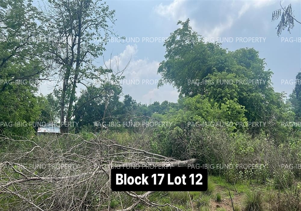 Image for Lot 11 & 12 Blk. 17 Magsaysay Park Subdivision Kalikid Sur, Cabanatuan City, Nueva Ecija, 3100