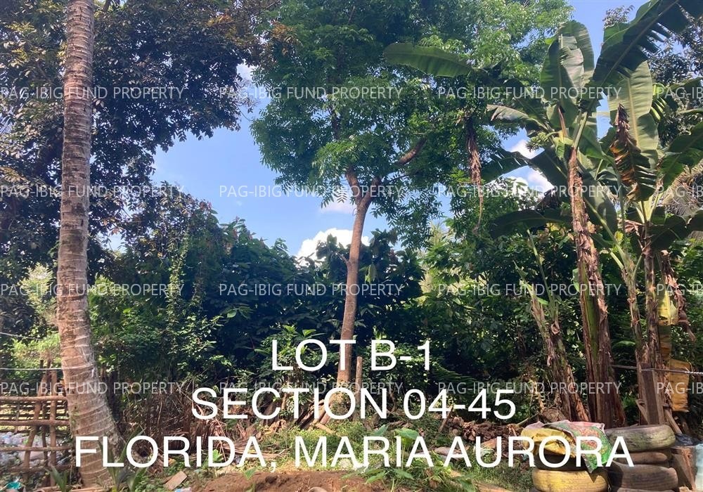 Image for Lot B-1 Non-Subdivision Florida, Maria Aurora, Aurora, 3202