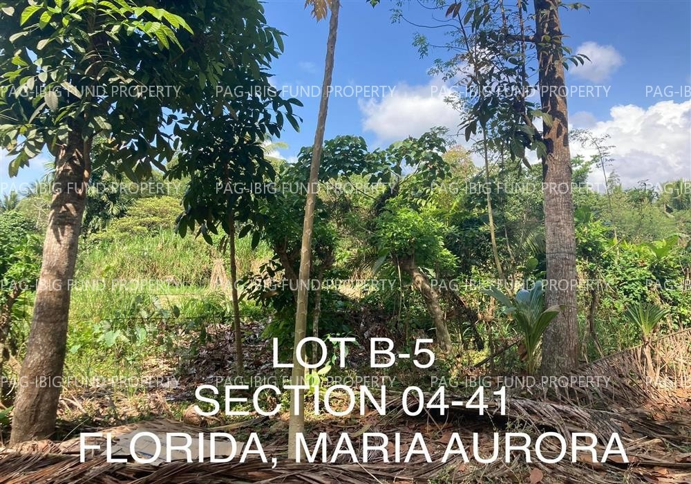 Image for Lot B-5 Non-Subdivision Florida, Maria Aurora, Aurora, 3202