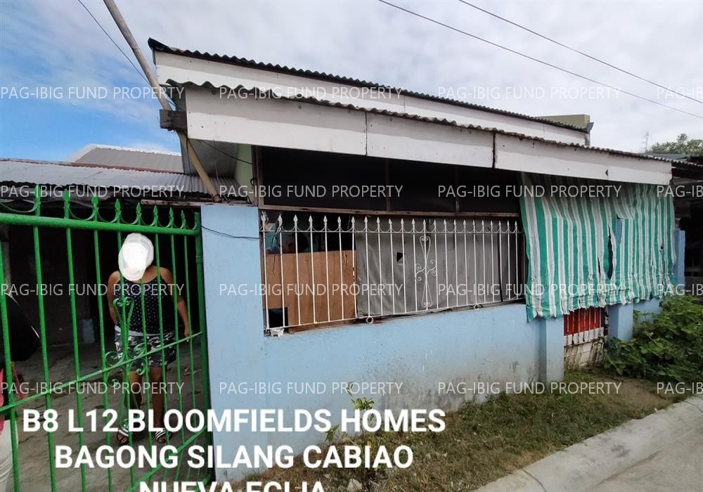 Image for Lot 12 Blk. 8 Bloomfields Homes Bagong Silang, Cabiao, Nueva Ecija, 3107